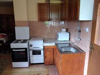 Дома для отпуска Vikendica Milos Жабляк Дом с 3 спальнями-11