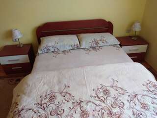 Дома для отпуска Vikendica Milos Жабляк Дом с 3 спальнями-16