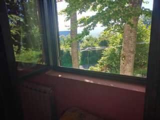 Дома для отпуска Vikendica Milos Жабляк Дом с 3 спальнями-21