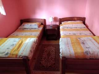 Дома для отпуска Vikendica Milos Жабляк Дом с 3 спальнями-23