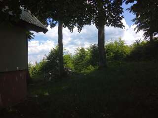 Дома для отпуска Vikendica Milos Жабляк Дом с 3 спальнями-4