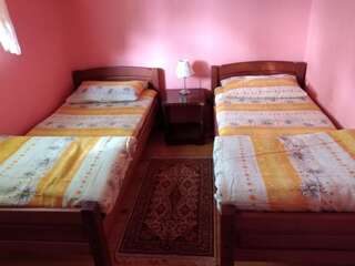 Дома для отпуска Vikendica Milos Жабляк Дом с 3 спальнями-41