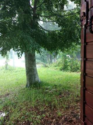 Дома для отпуска Vikendica Milos Жабляк Дом с 3 спальнями-5