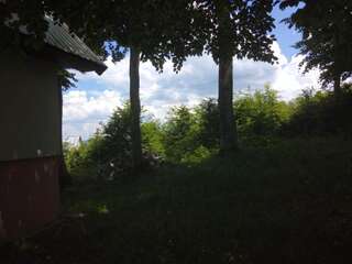 Дома для отпуска Vikendica Milos Жабляк Дом с 3 спальнями-50