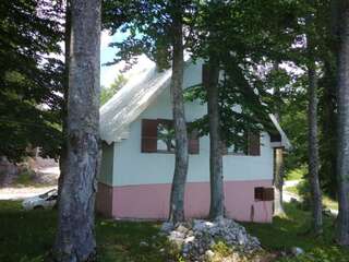 Дома для отпуска Vikendica Milos Жабляк Дом с 3 спальнями-59