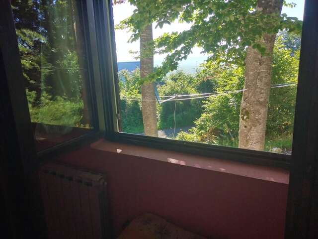 Дома для отпуска Vikendica Milos Жабляк-23