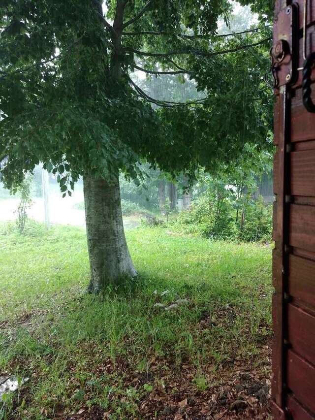 Дома для отпуска Vikendica Milos Жабляк-7